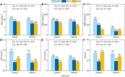 Rice-fish-duck system regulation of soil phosphorus fraction conversion and availability through organic carbon and phosphatase activity